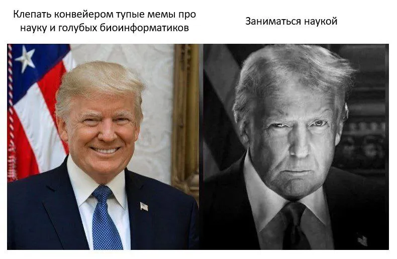 Untitled meme