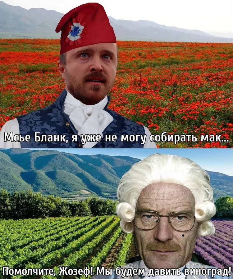 Untitled meme