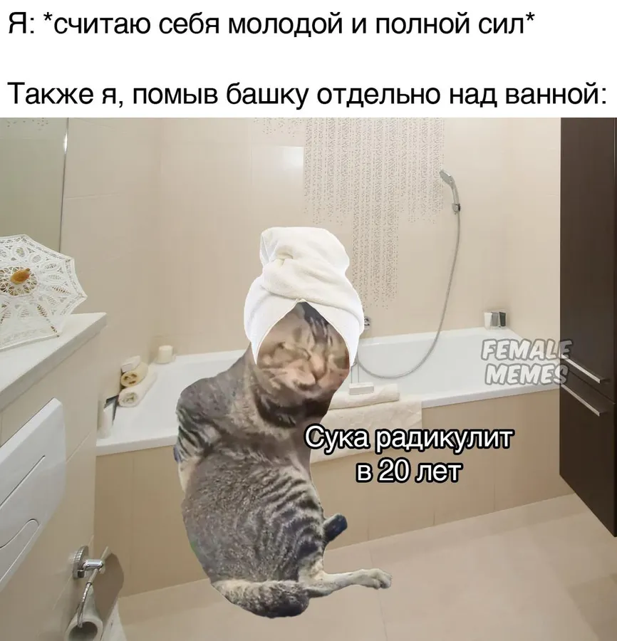 Untitled meme