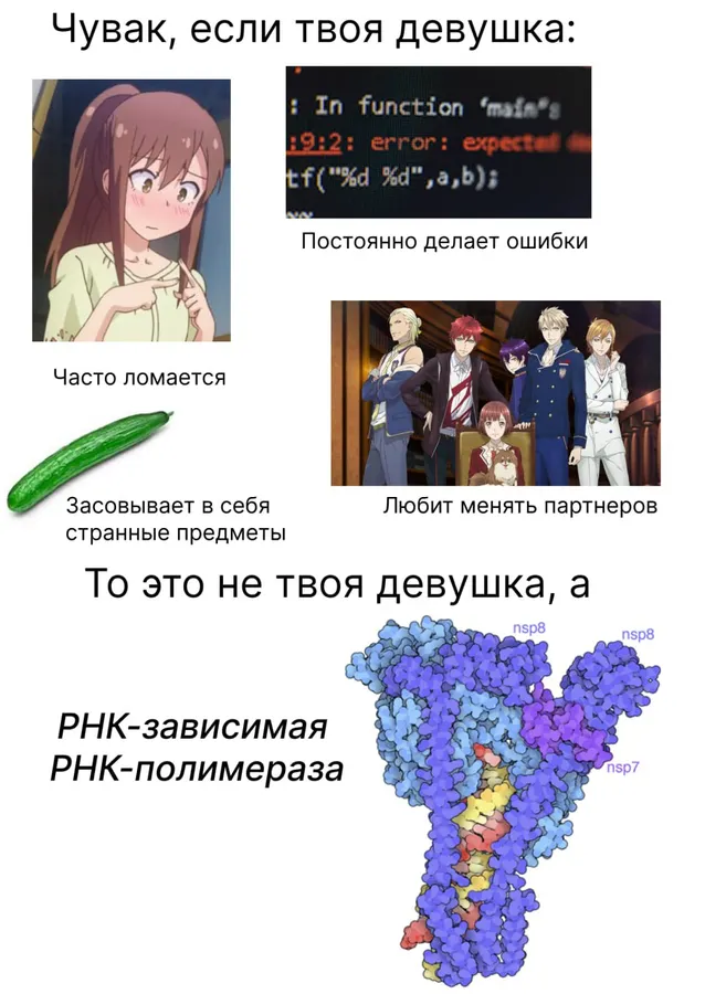 Untitled meme