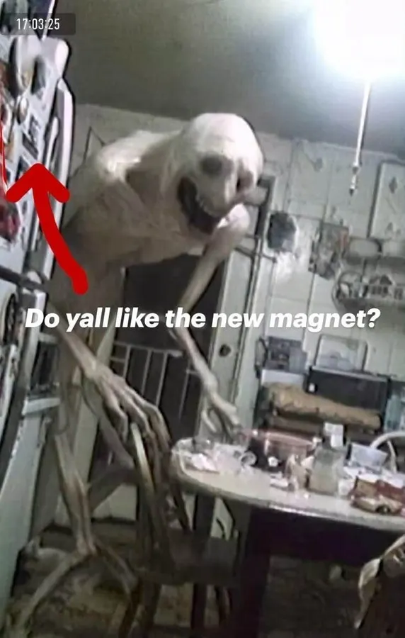 Untitled meme