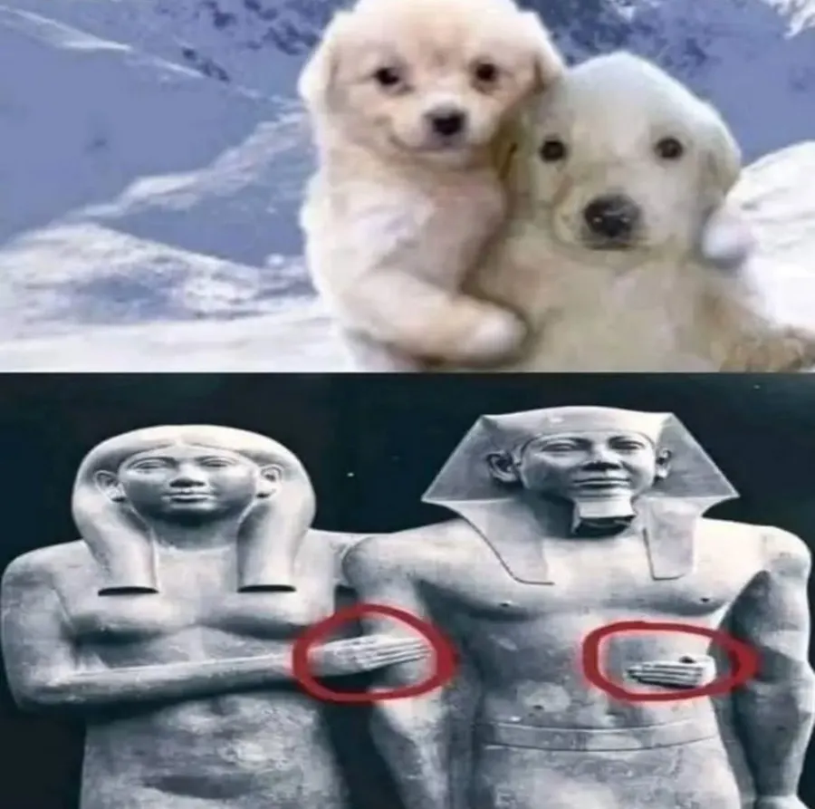 Untitled meme