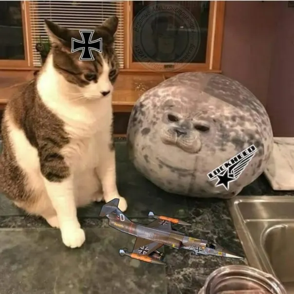 Untitled meme