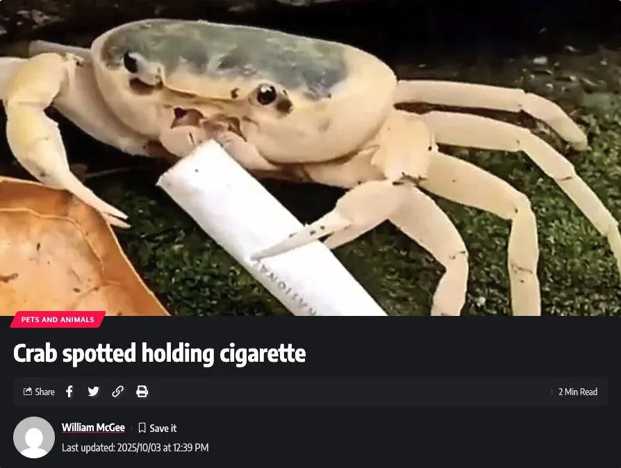 Untitled meme