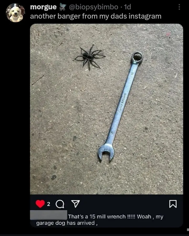 Untitled meme