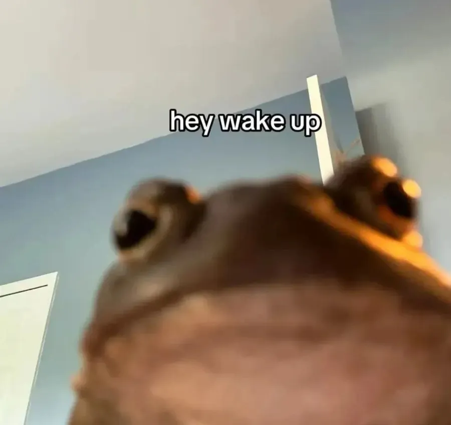 Untitled meme
