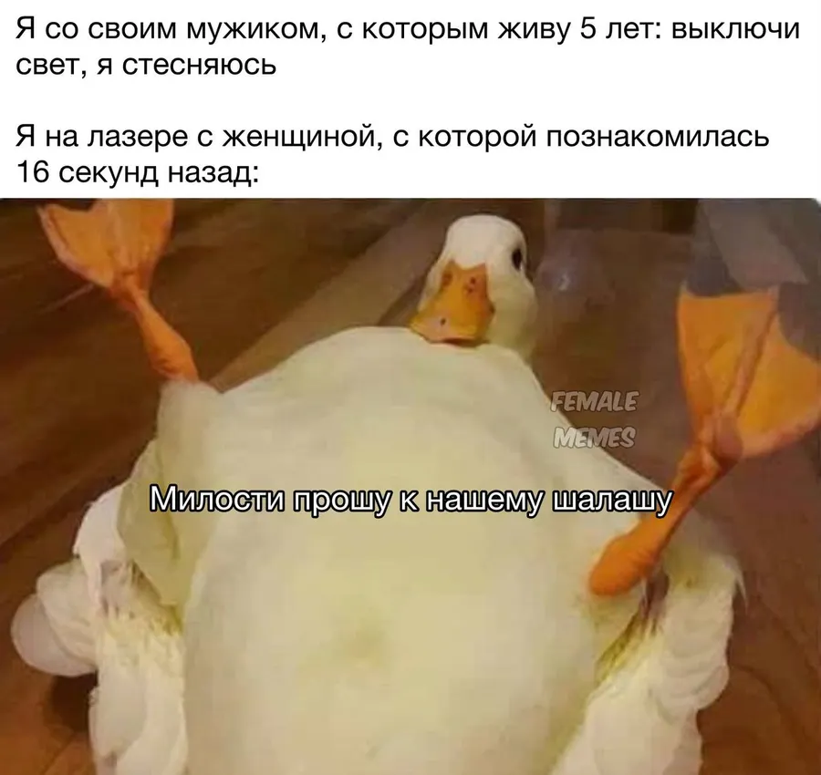 Untitled meme