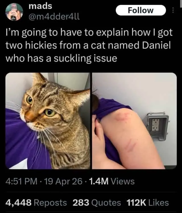 Untitled meme