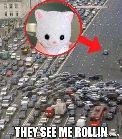 Untitled meme