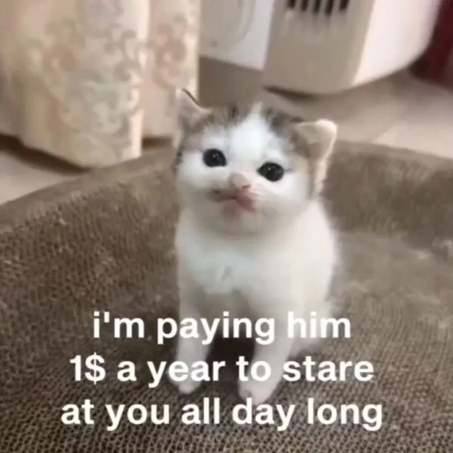 Untitled meme