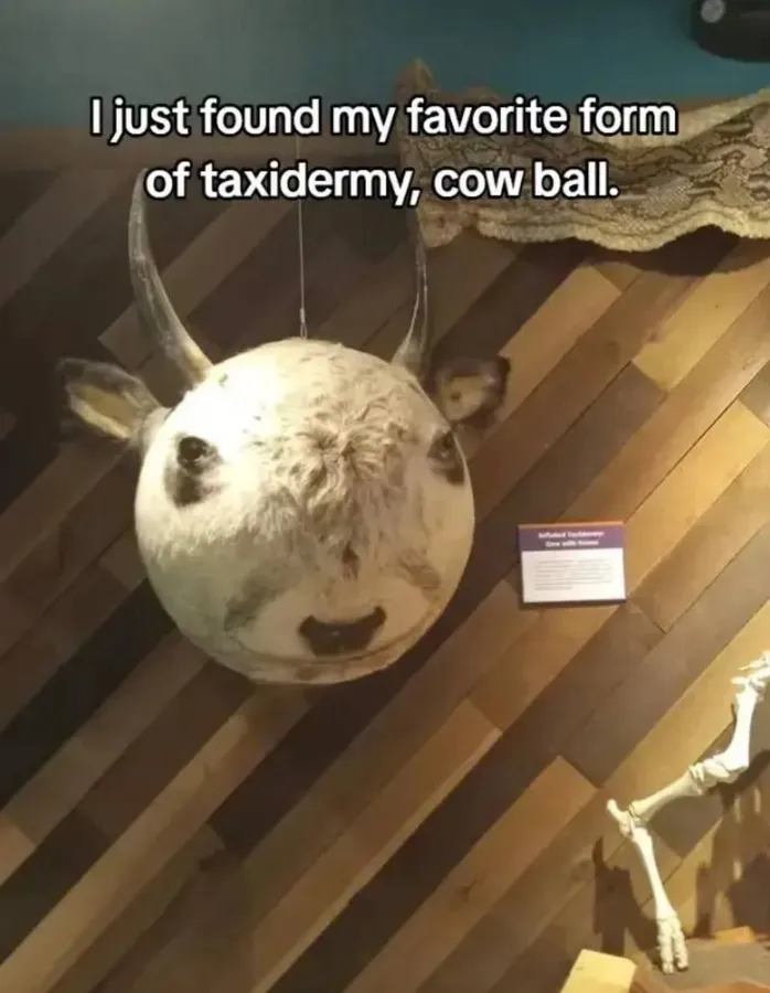 Untitled meme