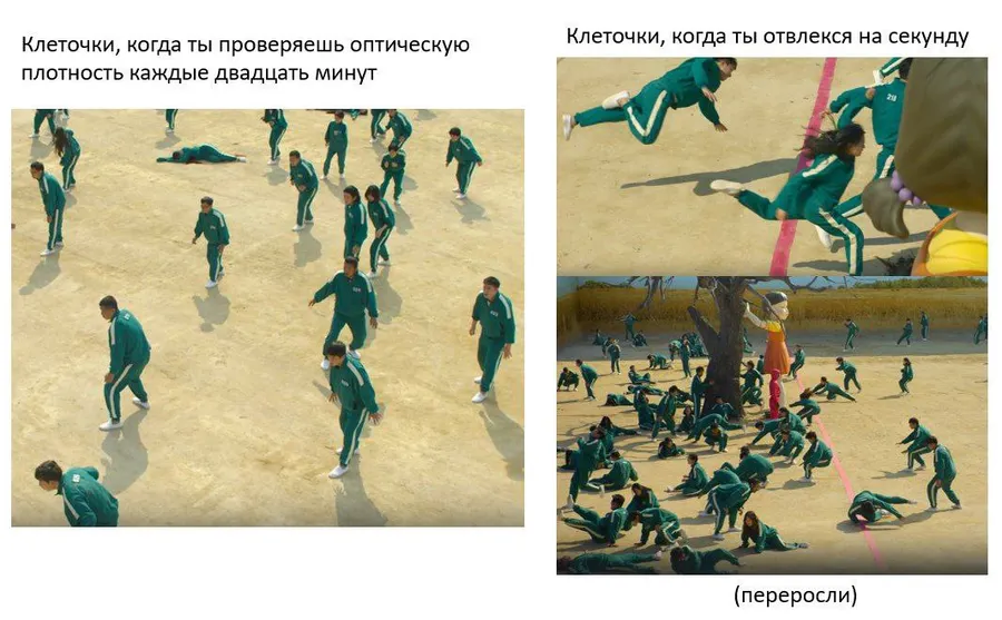 Untitled meme