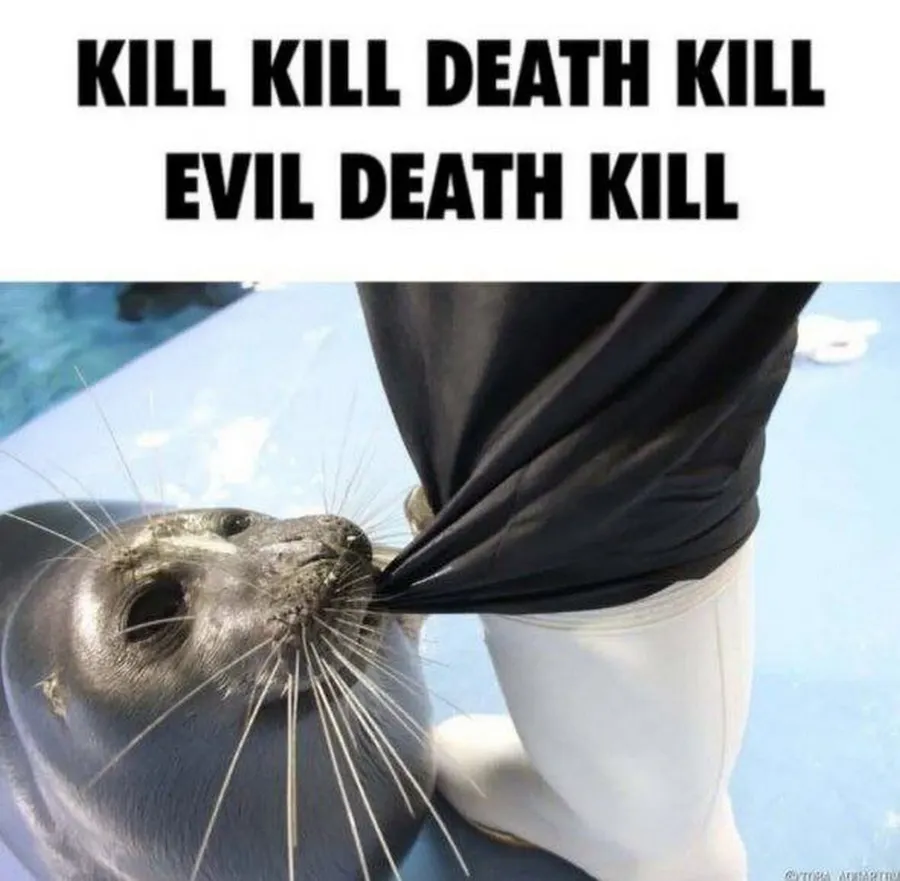 Untitled meme
