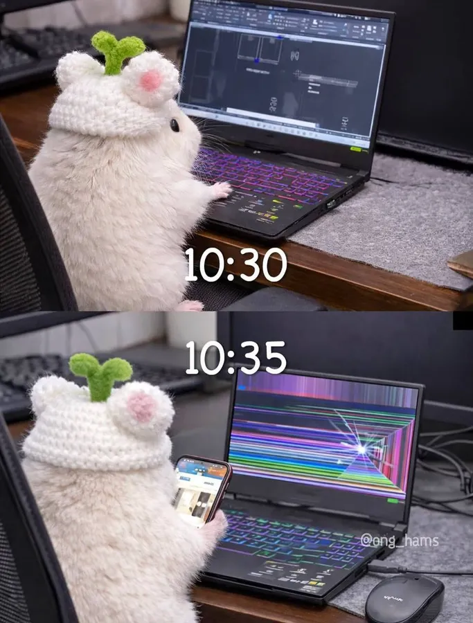 Untitled meme