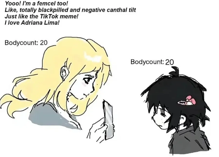 Untitled meme