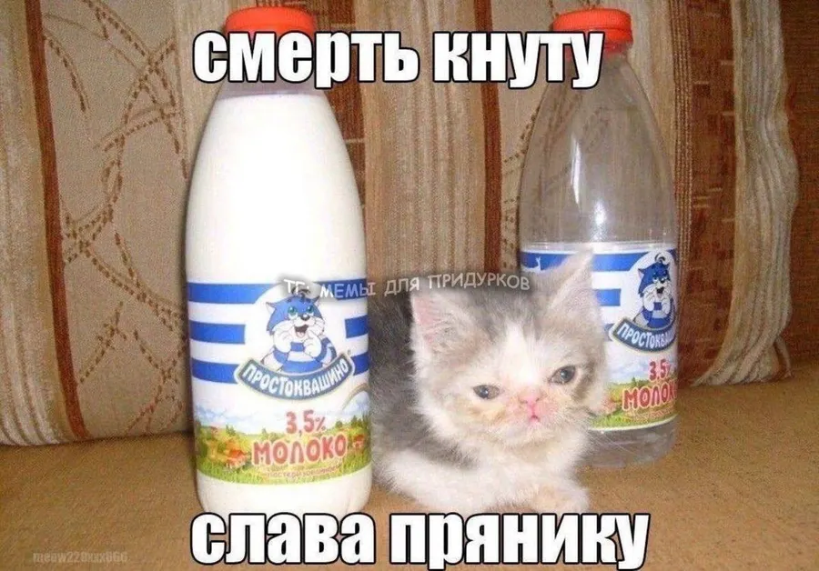 Untitled meme