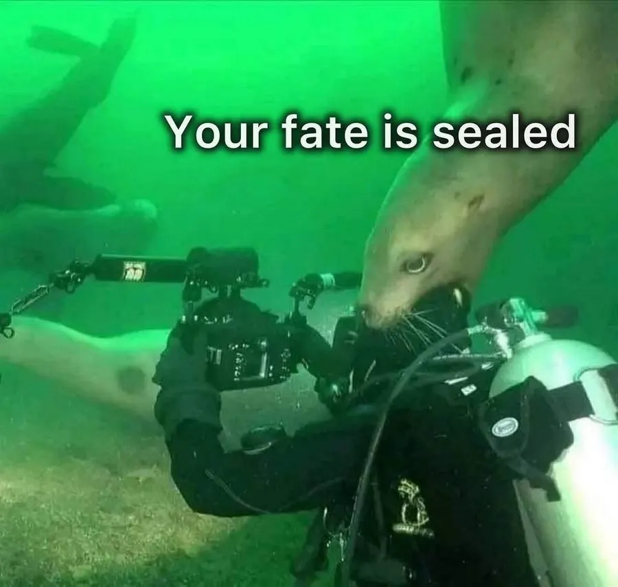 Untitled meme