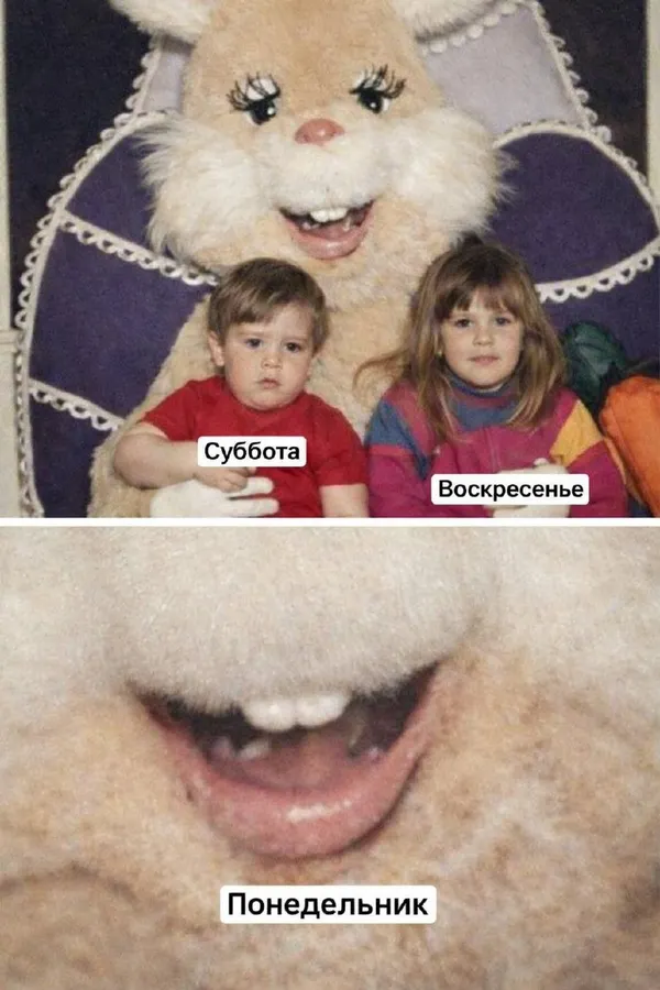 Untitled meme