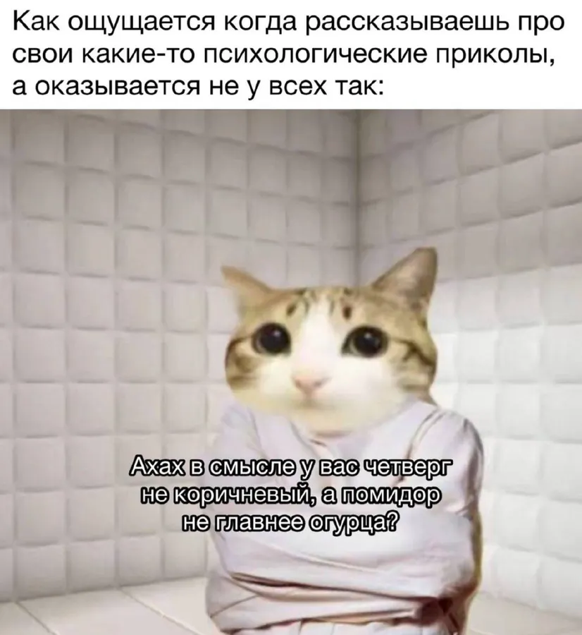 Untitled meme