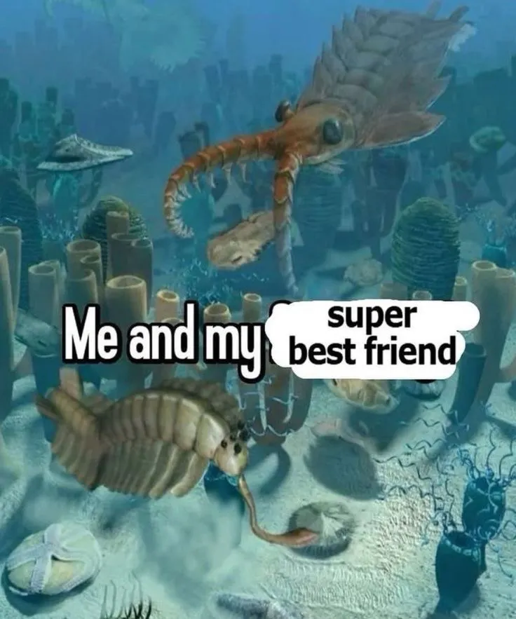 Untitled meme