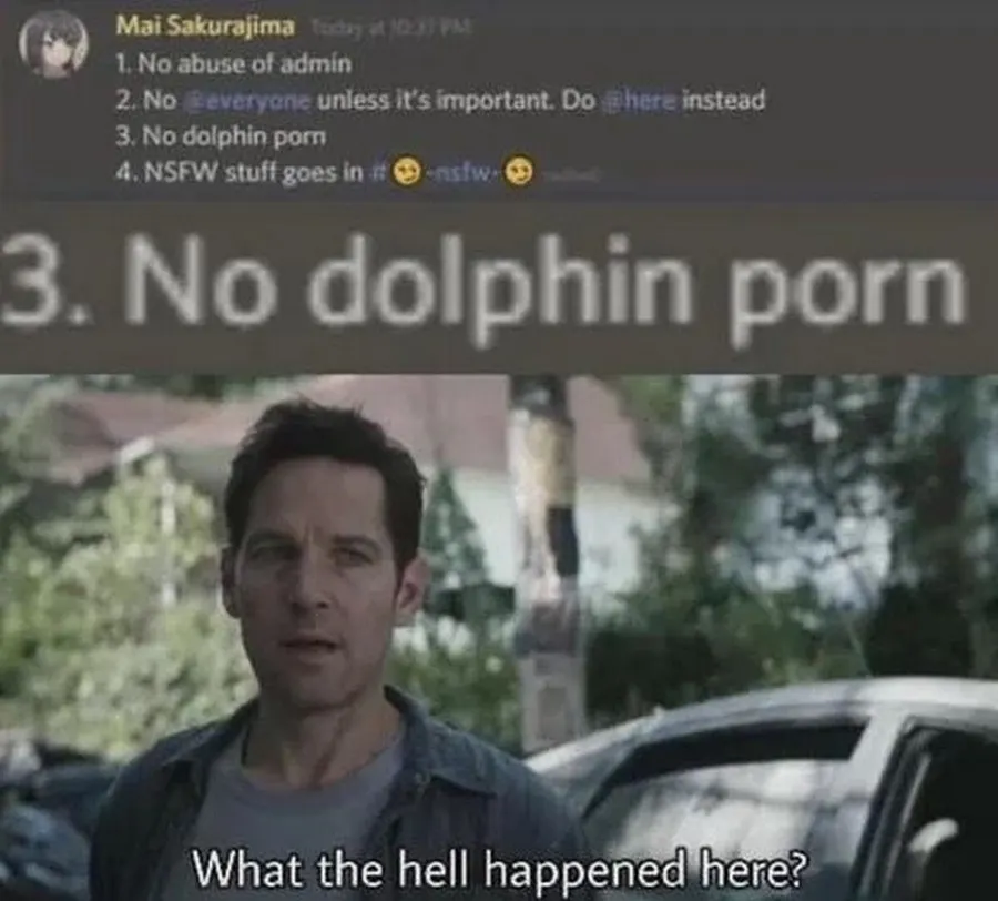 Untitled meme
