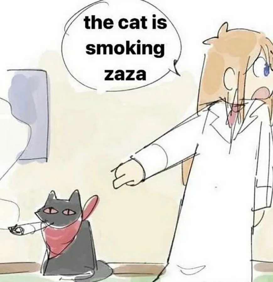 Untitled meme