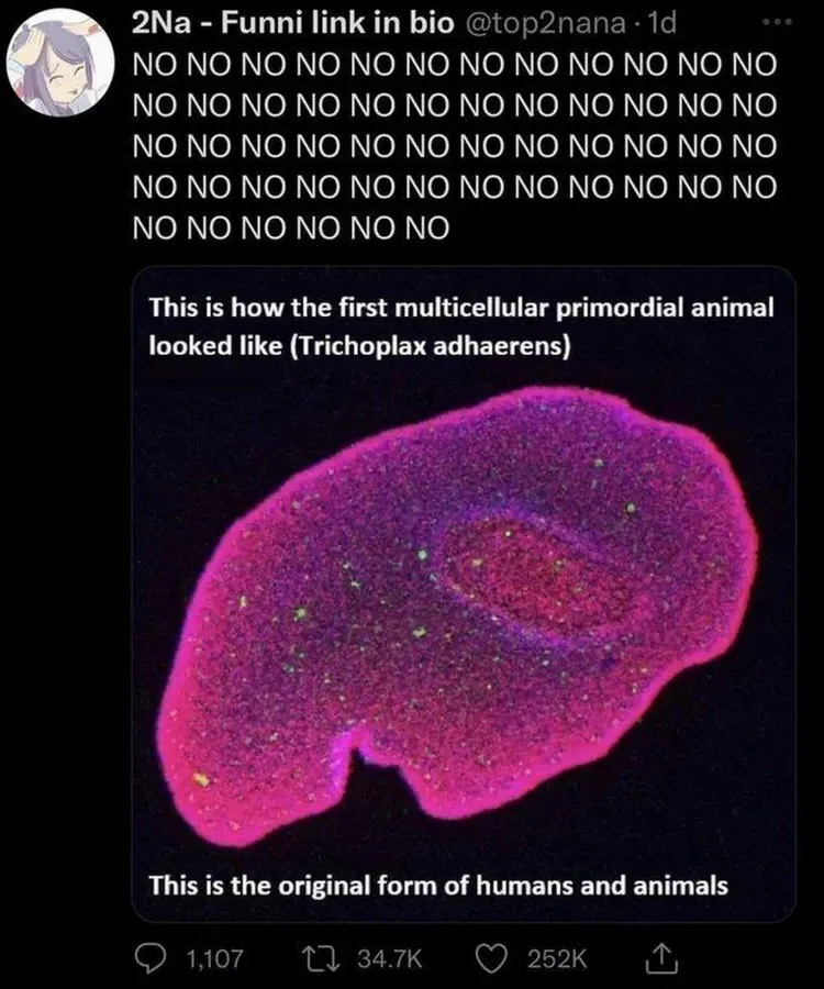 Untitled meme