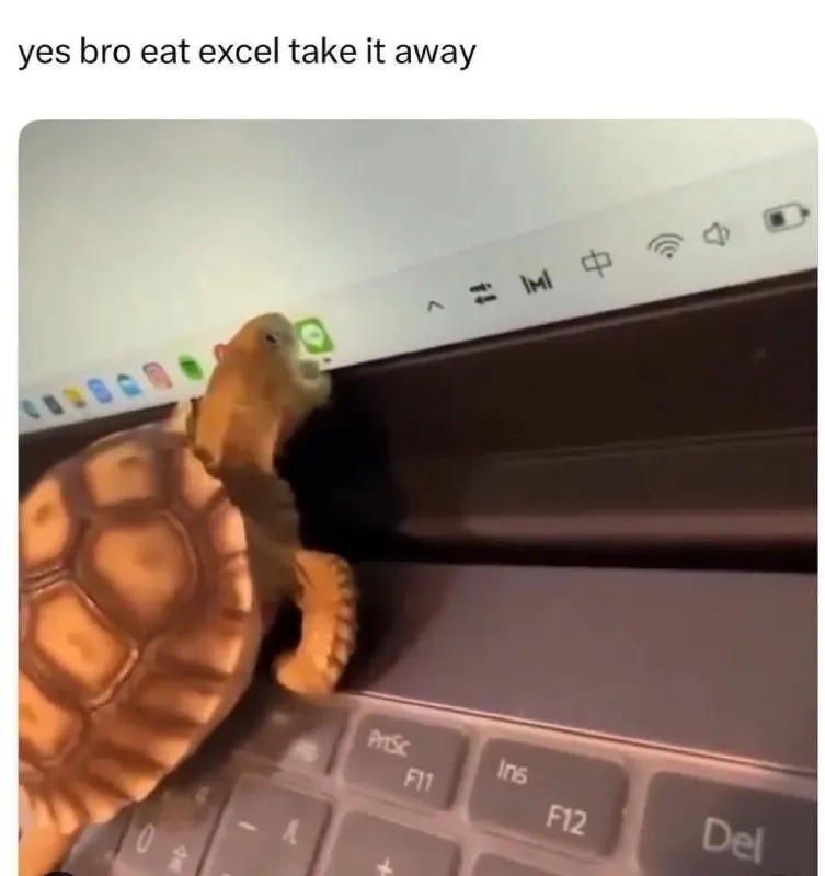 Untitled meme