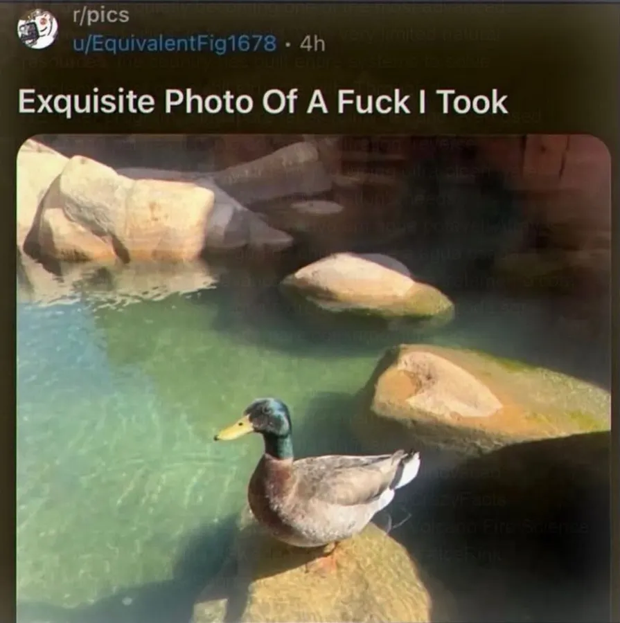 Untitled meme