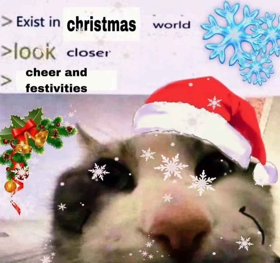 Untitled meme