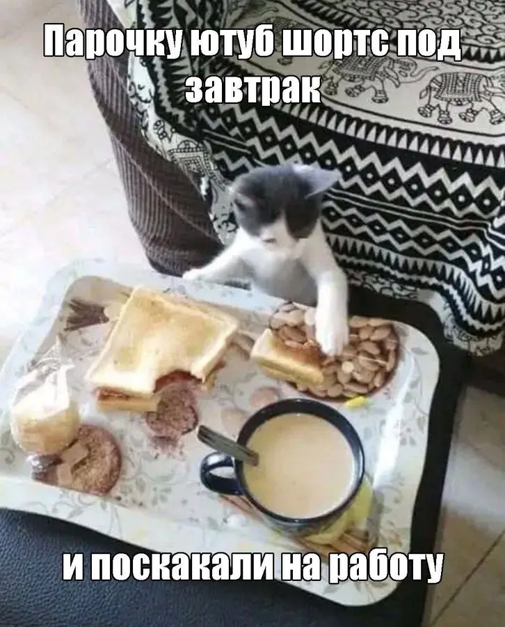 Untitled meme