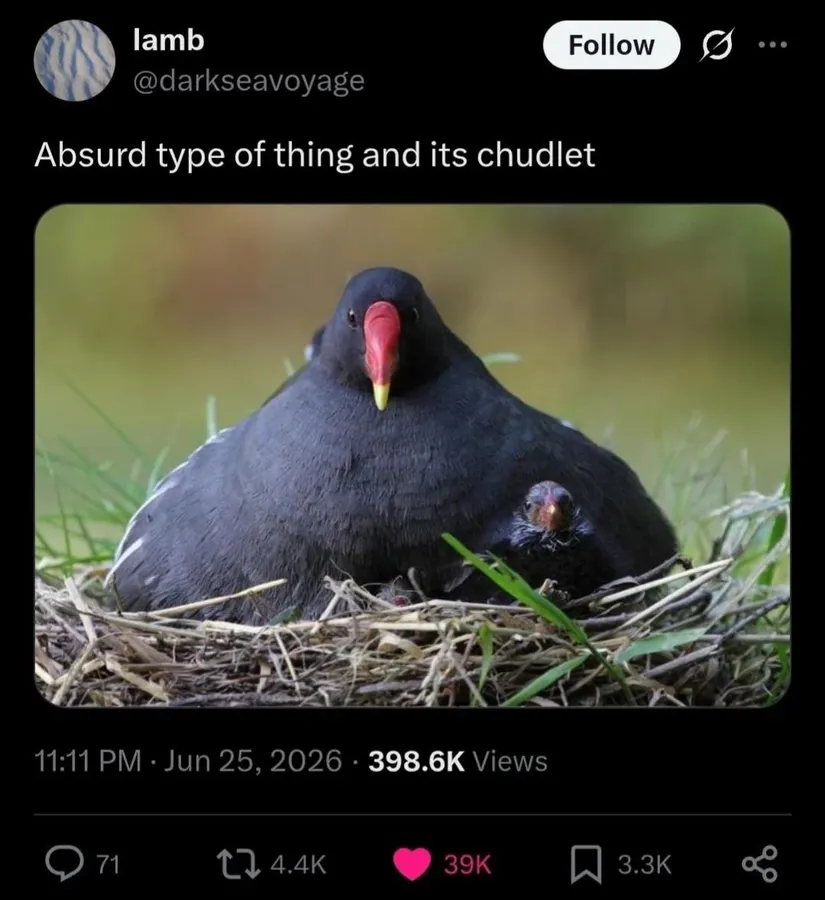 Untitled meme