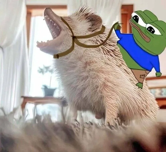 Untitled meme