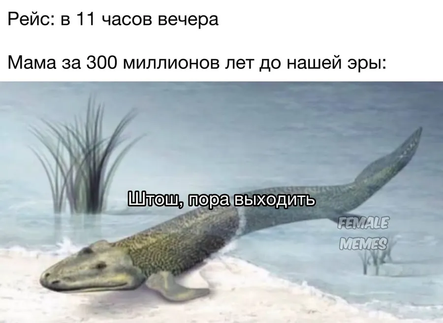 Untitled meme