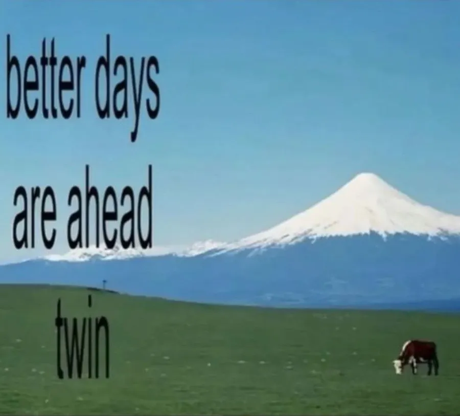 Untitled meme