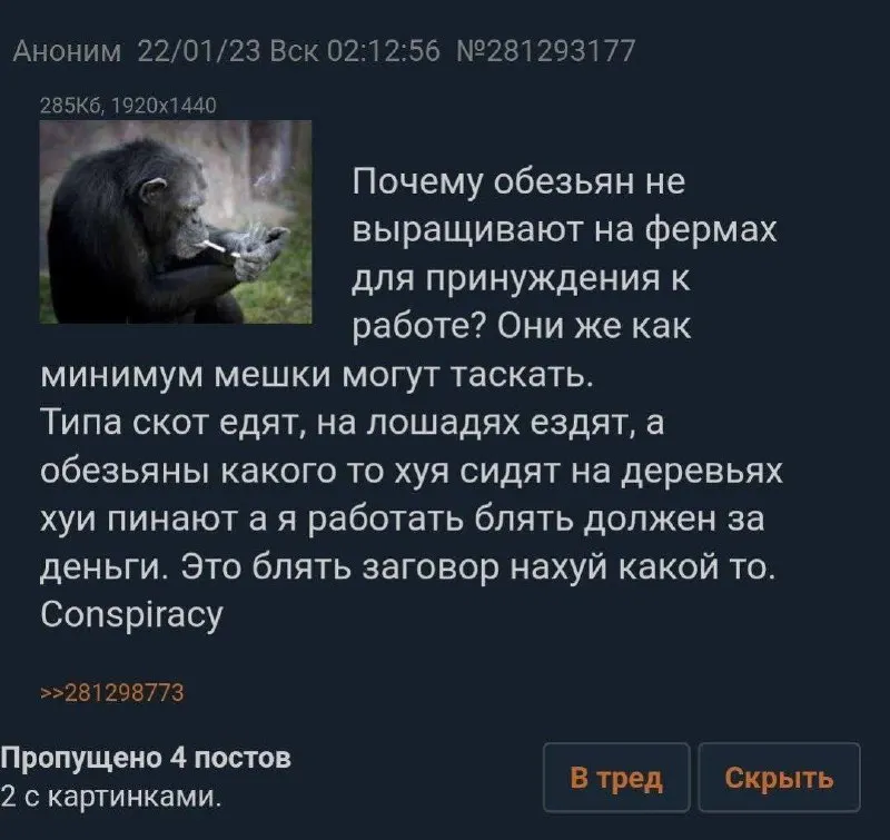 Untitled meme