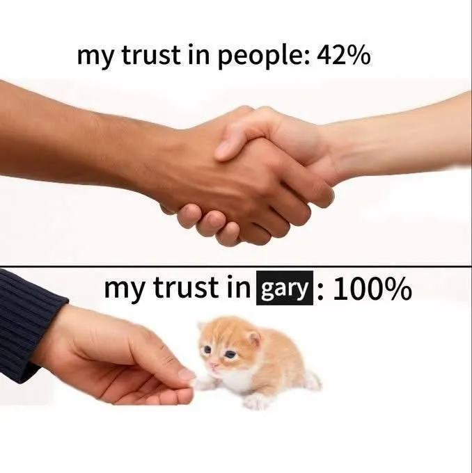 Untitled meme