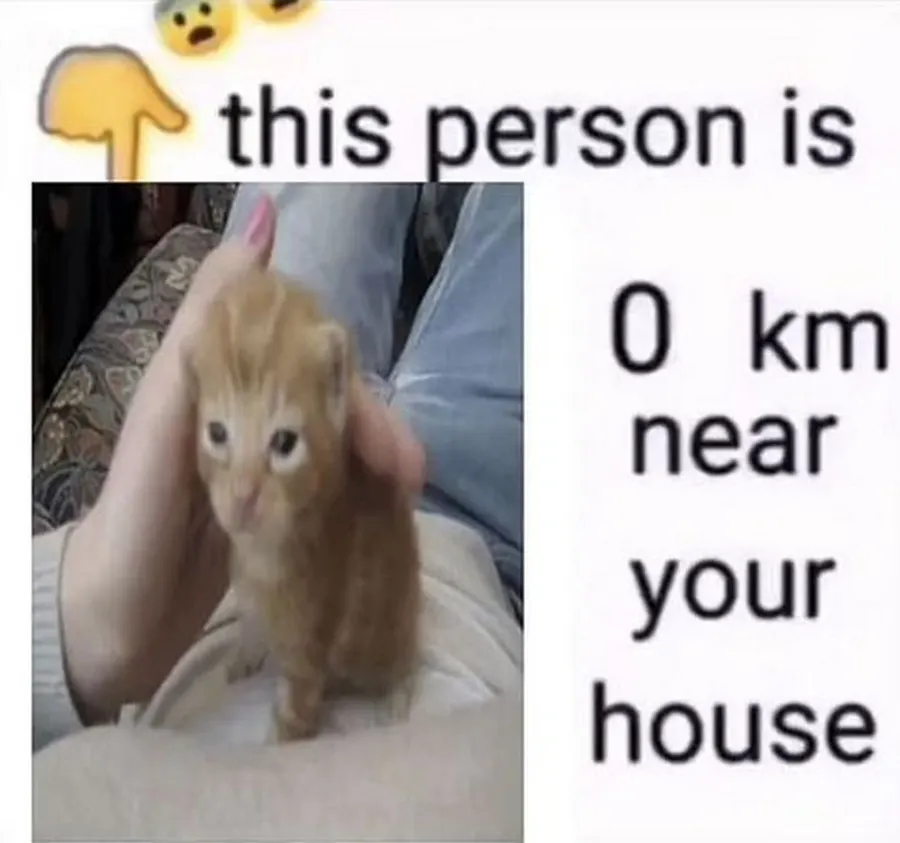 Untitled meme