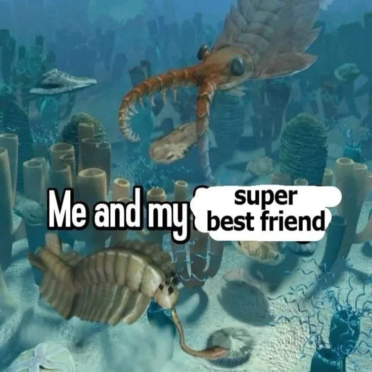 Untitled meme