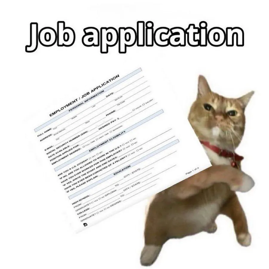 Untitled meme