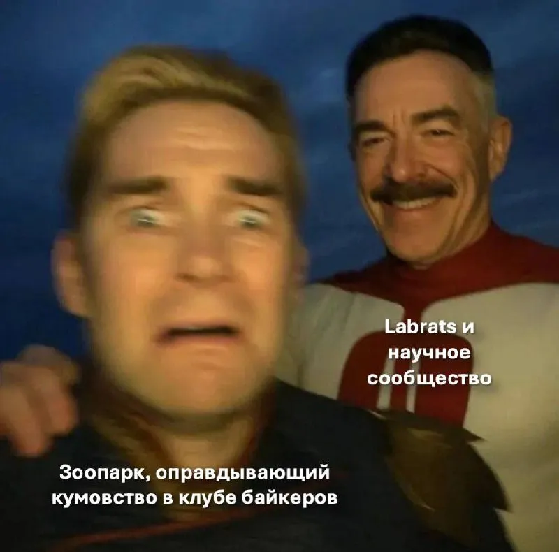 Untitled meme