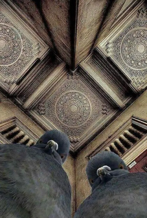Untitled meme