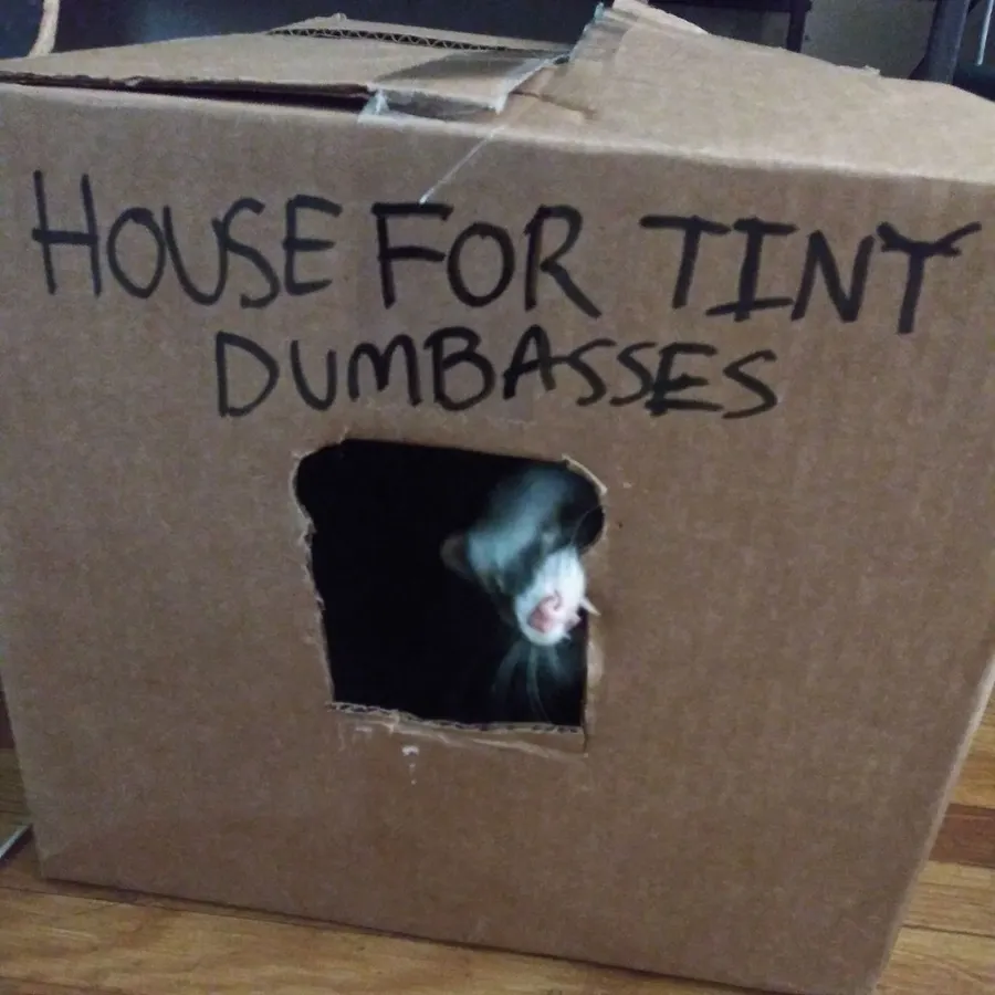 Untitled meme