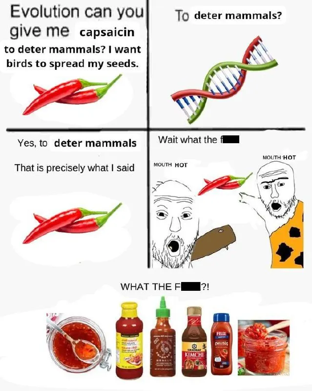 Untitled meme