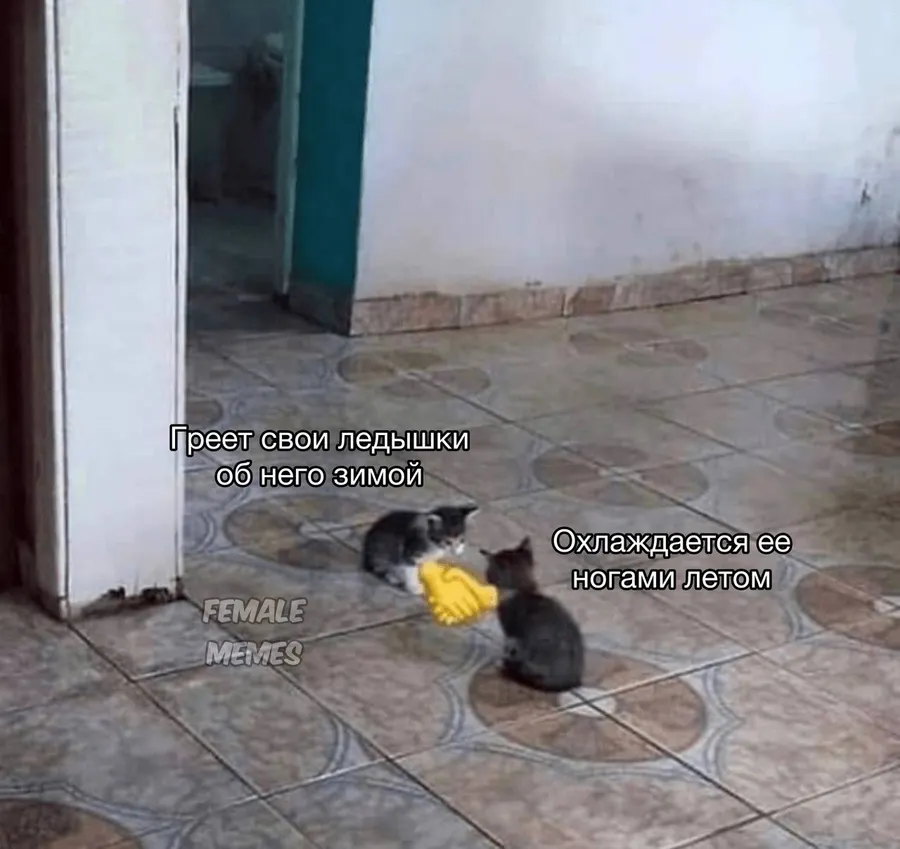 Untitled meme