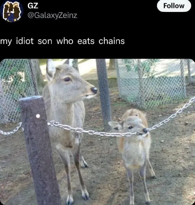 Untitled meme