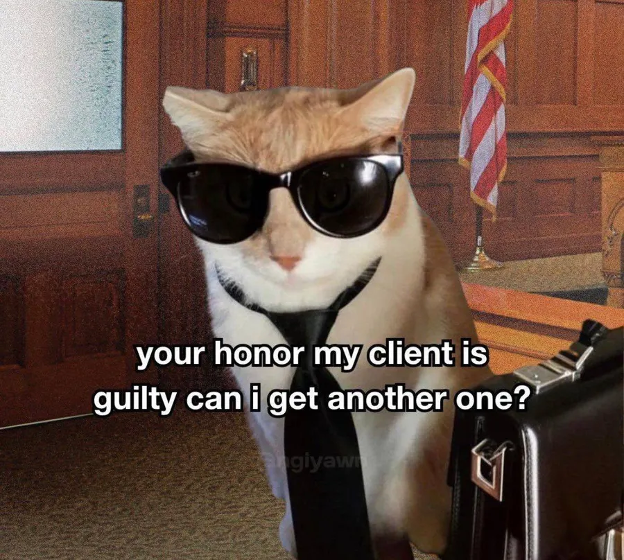 Untitled meme