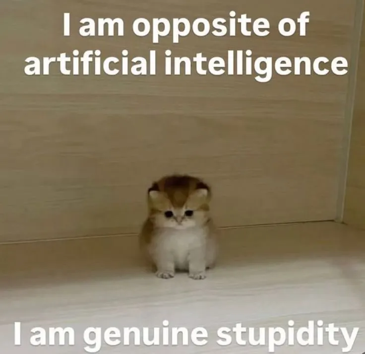 Untitled meme