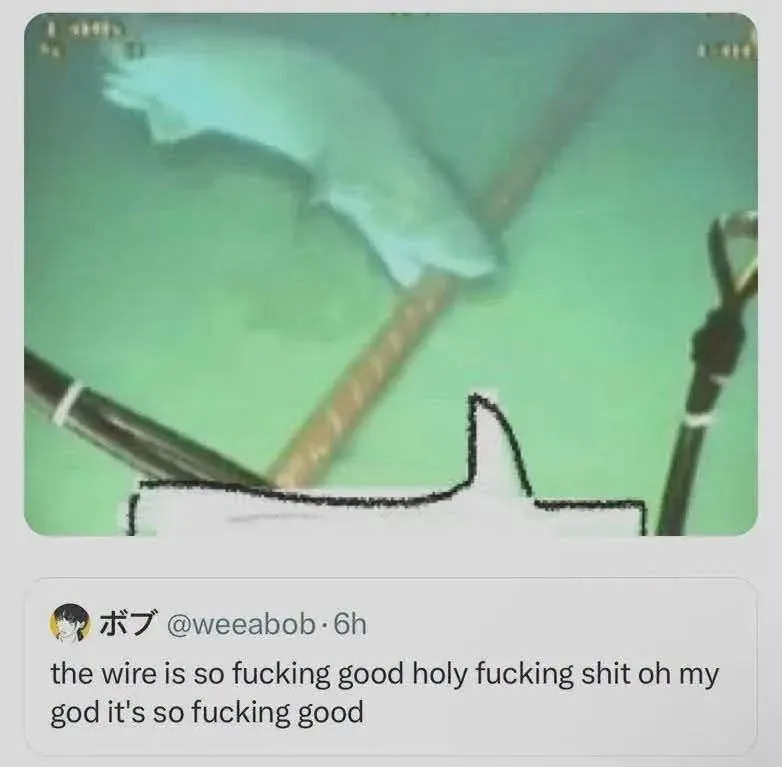 Untitled meme