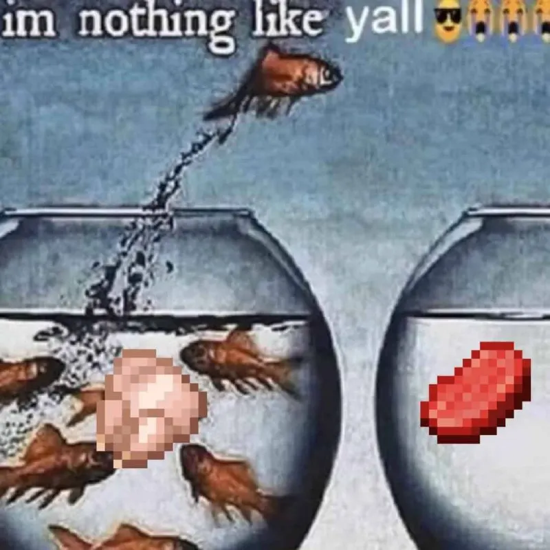 Untitled meme
